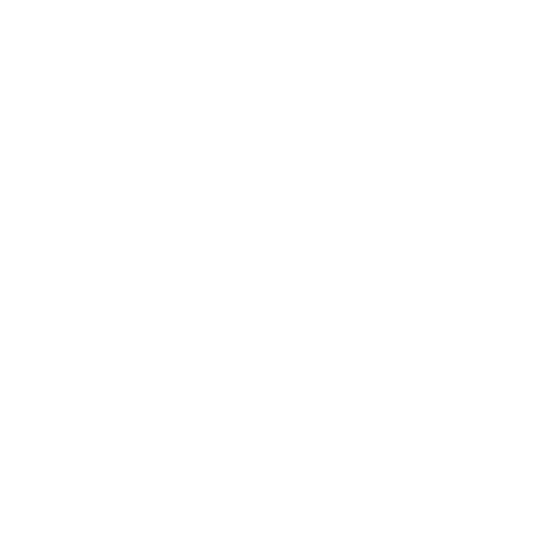 advanced ecommerce icon